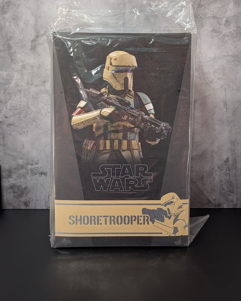 Hot Toys MMS389 Star Wars Rogue One Shoretrooper