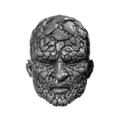 Stone Head