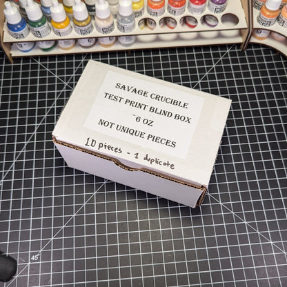 Savage Crucible Test Print Blind Box