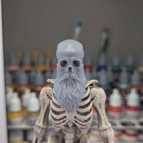 Robo Skull