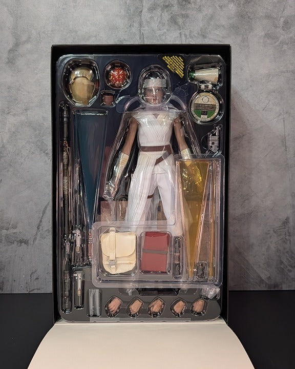 Hot Toys MMS559 Star Wars The Rise of Skywalker Rey and D-O