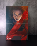 Hot Toys MMS288 Marvel Avengers AOU Black Widow