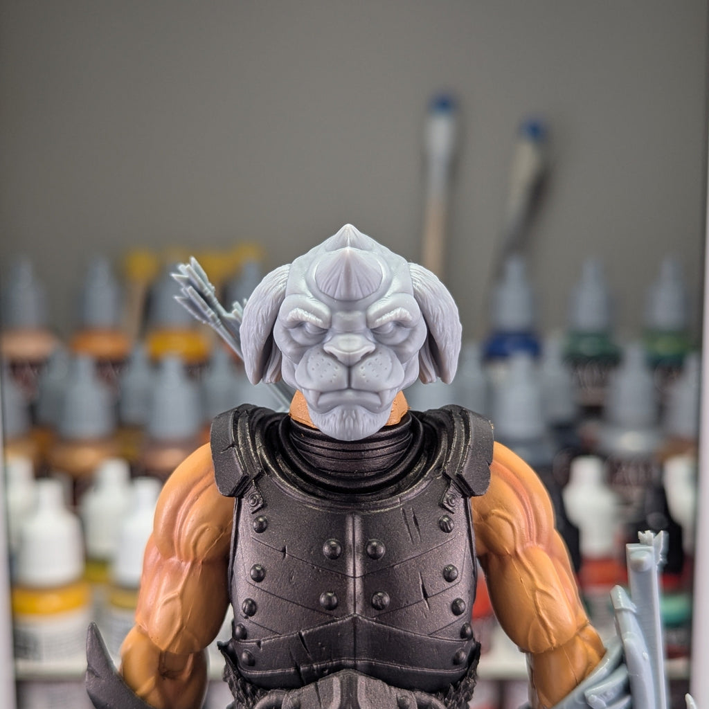 Gorgonite Archer Kit