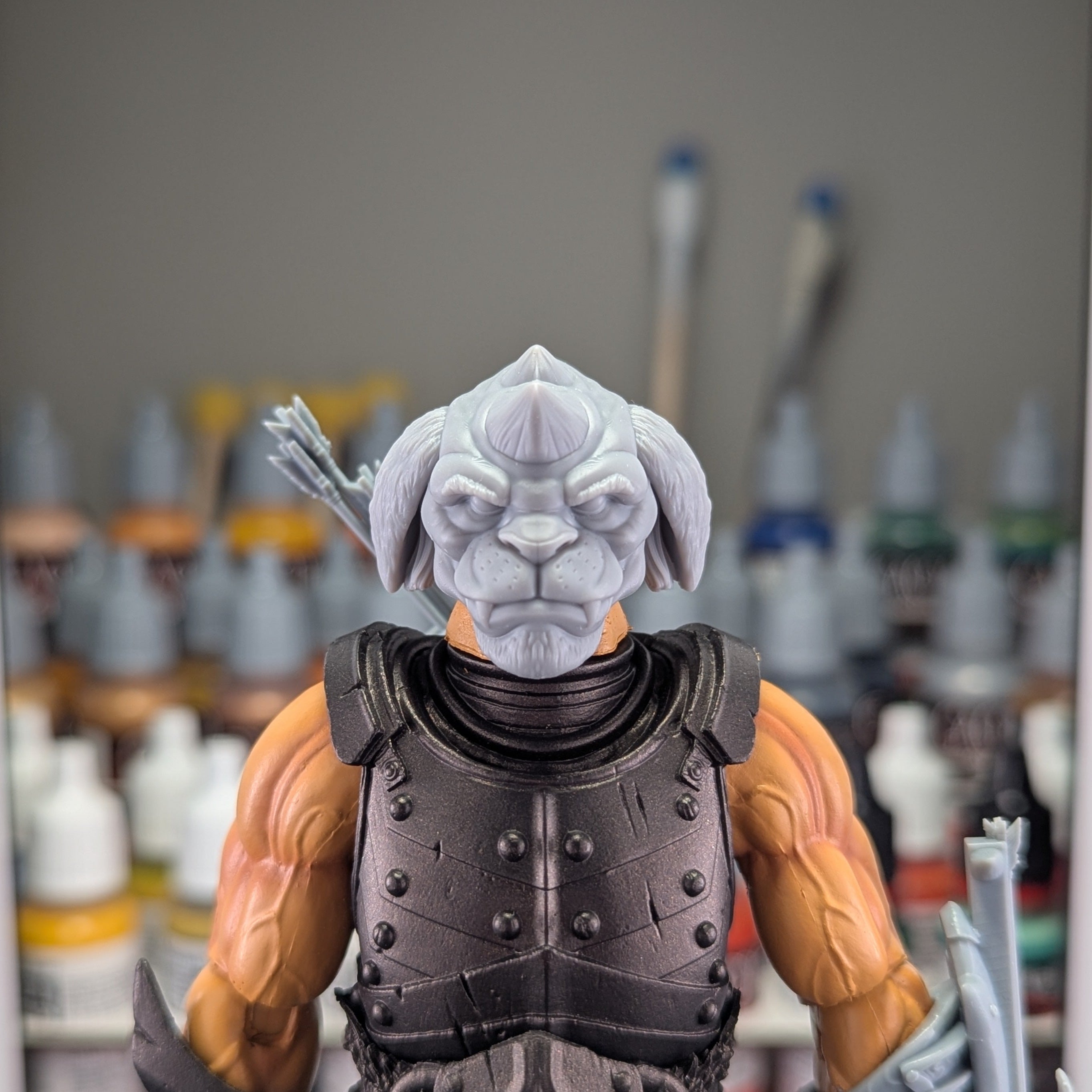 Gorgonite Archer Kit