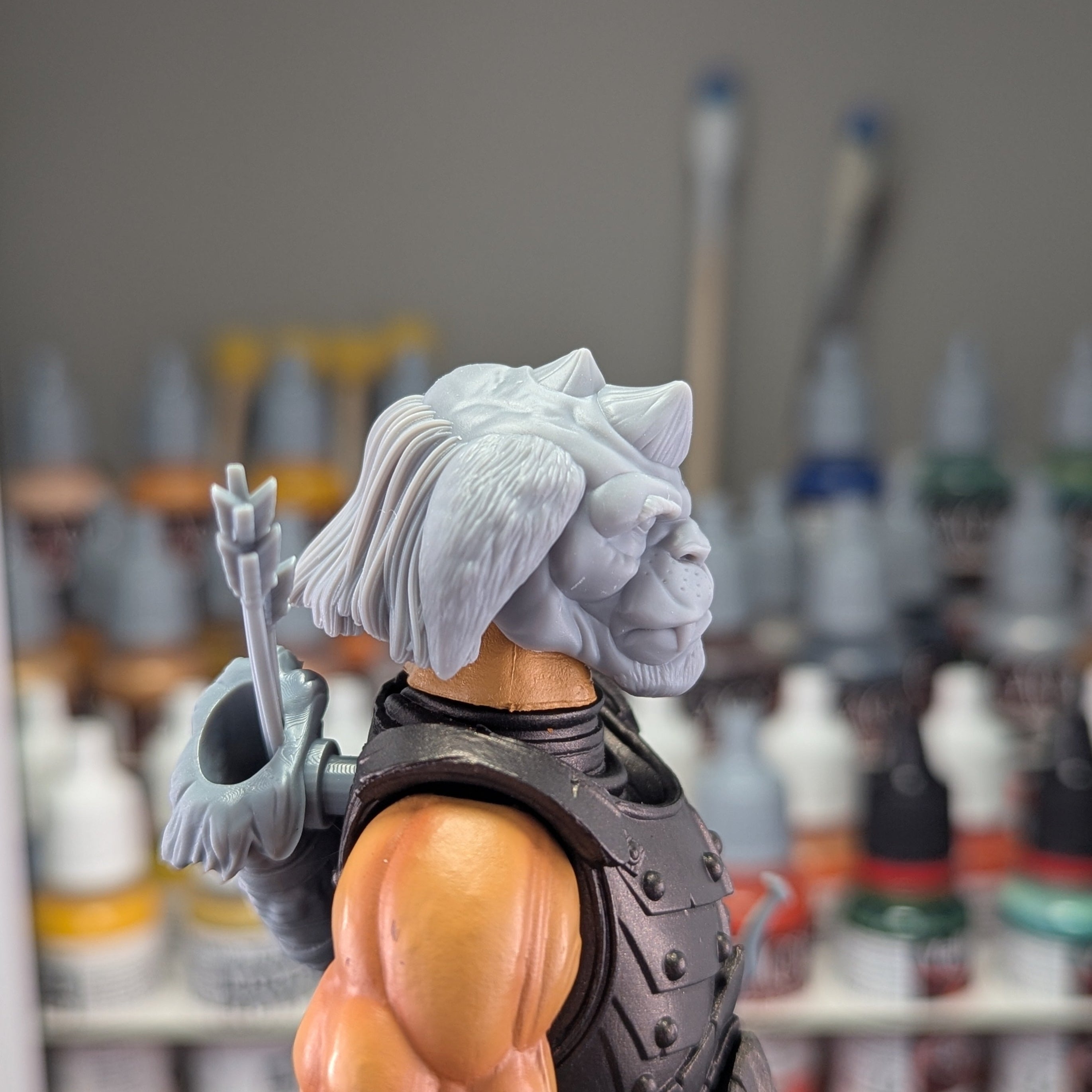 Gorgonite Archer Kit