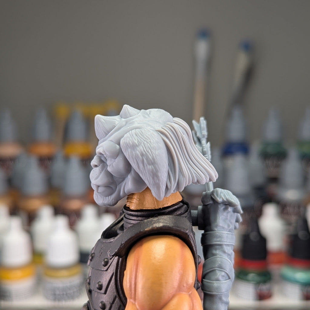 Gorgonite Archer Kit