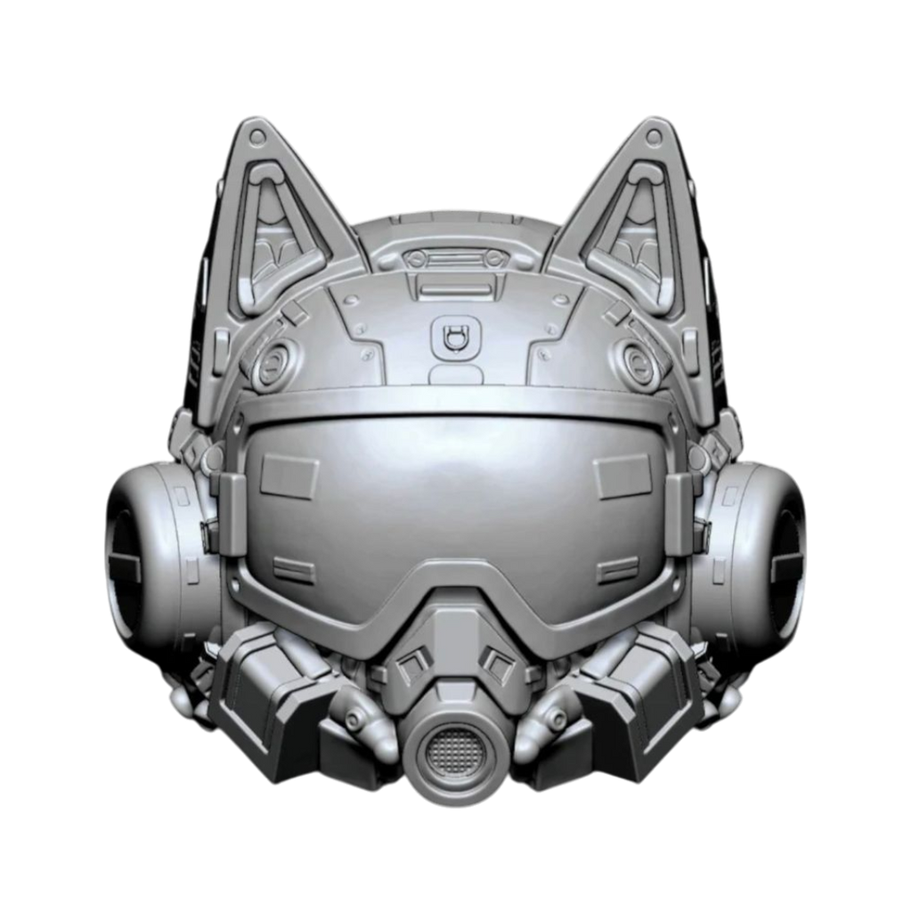 Kitty Helmet