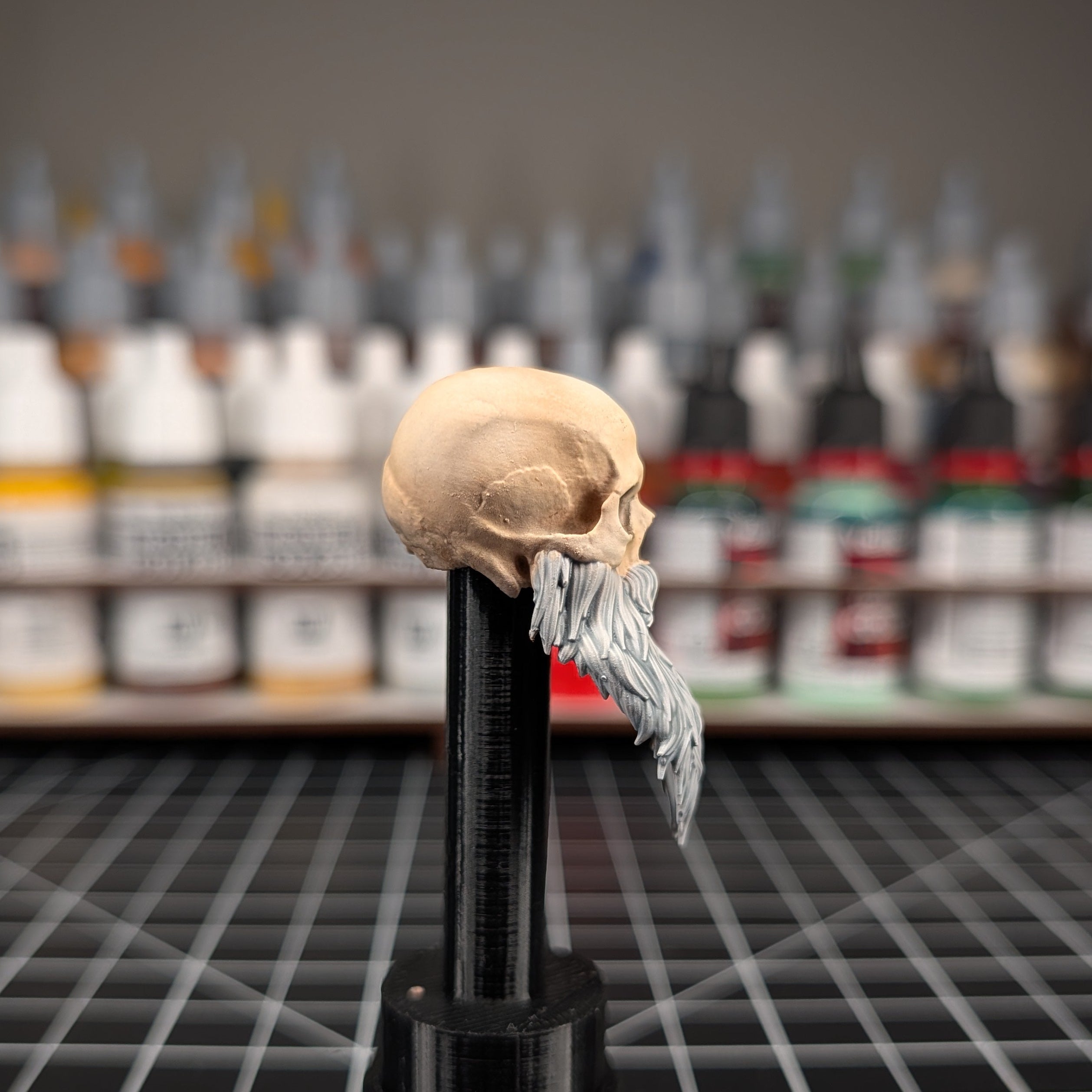 Skelly 1 (Fundraiser)